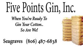 Five Points Gin