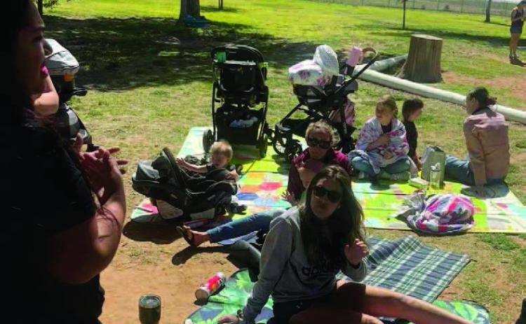 At the Gaines Country Park, mothers from the Cuddles and Chaos group convened for a 'play- date' style get-together. While their toddlers interacted with one another, the mothers took to the sidelines, sitting together and engaging in lively conversation. (Photo provided)